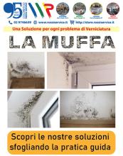 La Muffa - Le nostre soluzioni